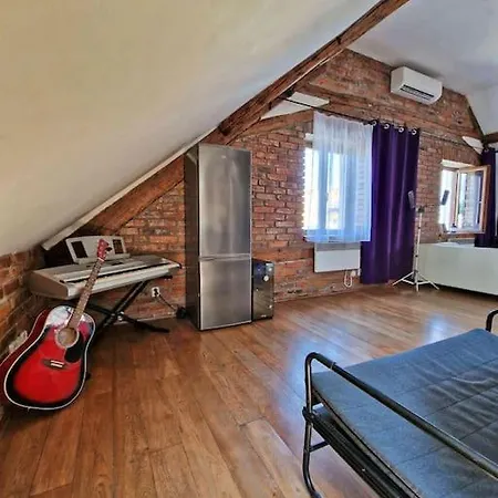 Cozy Private Flat In Center Apartman Ostrava